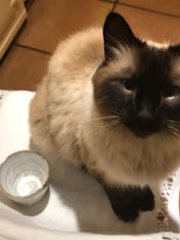 Load image into Gallery viewer, Marguerite Tumbler