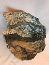 Load image into Gallery viewer, One of a Kind Statement Bowl.